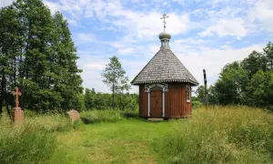 Najciekawsze atrakcje w Białowieży, które zachwycą każdego turystę