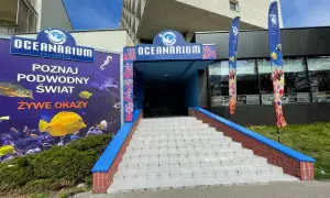 Ile kosztuje bilet do oceanarium w Kołobrzegu? Sprawdź ceny teraz