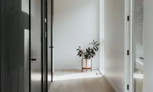 Un recibidor sin espejo, con puertas oscuras y una planta en maceta blanca sobre un soporte de madera. La luz del sol ilumina el suelo de madera clara.