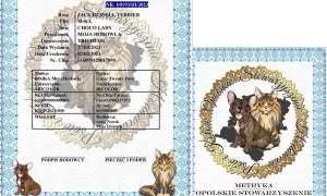 Ile kosztuje metryka dla psa? Sprawdź ceny i ukryte opłaty