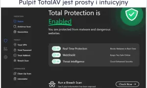 Interfejs TotalAV z włączoną ochroną przed złośliwym oprogramowaniem, w tym ransomware. Ochrona w czasie rzeczywistym i WebShield zapewniają bezpieczeństwo.