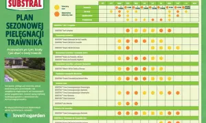 Trawnik marzeń: Kiedy i czym nawozić trawę? Kalendarz nawożenia