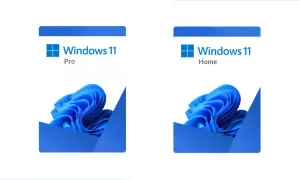 Dwa opakowania Windows 11: Pro i Home, z niebieskim logo i falistym wzorem.