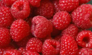 Herbata malinowa na co pomaga - poznaj jej zdrowotne właściwości