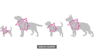Szelki dla szczeniaka: Bezstresowe zakładanie krok po kroku