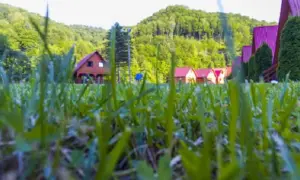 Bieszczady gdzie nocleg - najlepsze opcje zakwaterowania dla Ciebie