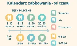 Zęby mleczne: Kiedy wypadają? Kompletny przewodnik dla rodziców