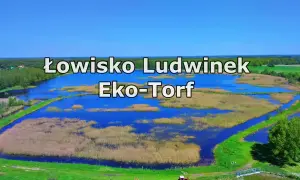 Łowisko Ludwinek Eko-Torf, malowniczy zbiornik wodny otoczony trzcinami i zielenią, idealne miejsce dla wędkarzy.