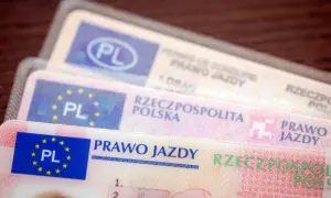 Stos polskich praw jazdy, widoczne fragmenty dokumentów z oznaczeniem "PL".