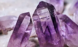 Cristales de amatista morados y translúcidos, mostrando la belleza natural donde se encuentra la amatista.