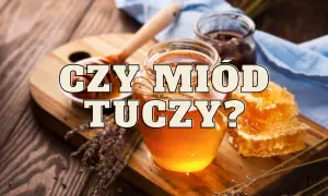 Czy miód tuczy? Odkryj prawdę o jego wpływie na wagę ciała