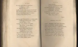 A imię jego 44. Wiersz opisuje postać, która jest namiestnikiem na ziemi, a jej imię to 44.