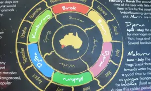 Koło przedstawia pory roku w Australii, od lata (Birol) po zimę (Djilba).