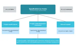 Schemat pokazuje opcje spadkobiercy: przyjąć spadek wprost, z dobrodziejstwem inwentarza lub odrzucić. Intercyza a dziedziczenie - ważne decyzje.