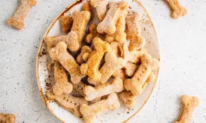 Leckere hundekekse mit kokosmehl, in Knochenform, auf einem Teller und verstreut.