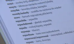 Słownik gwary bydgoskiej: odkryj unikalne słowa. Znasz je?