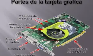 Tarjeta gráfica con ventilador, módulos de memoria, salidas S-Video, DVI, SVGA y conector a la placa base.