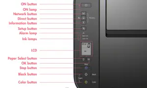 Panneau de contrôle d'une imprimante. Le bouton "Network" et l'icône Wi-Fi indiquent comment connecter une imprimante en wifi.