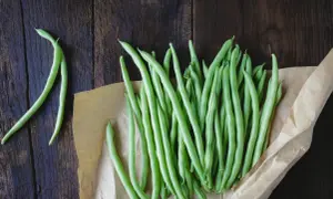 Fagiolini freschi pronti per essere bolliti in acqua fredda o calda, disposti su carta da forno su un tavolo di legno scuro.