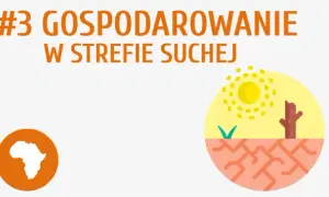 Jak rozwiązać problem głodu w Afryce? Przyczyny i skuteczne strategie