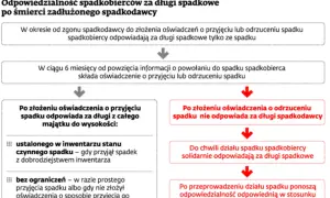 Schemat odpowiedzialności spadkobierców za długi. Po złożeniu oświadczenia o odrzuceniu spadku, spadkobierca nie odpowiada za długi spadkodawcy.