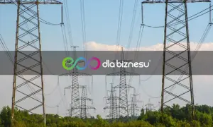 Wysokie słupy energetyczne z liniami wysokiego napięcia na tle błękitnego nieba.