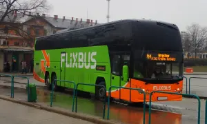 PolskiBus z psem? (Teraz FlixBus) Czy Twój pupil może jechać?