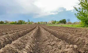 Pole orne z bruzdami, w tle zabudowa zagrodowa jak obejść.