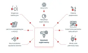 Schemat przedstawiający czynniki ryzyka nowotworu szyjki macicy, wirusa HPV i inne schorzenia.