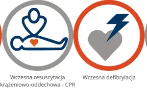 BLS: Jak udzielić pierwszej pomocy? Kompletny przewodnik ratujący życie
