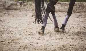Koń w galopie, widać jego kopyta i owinięte fioletowymi ochraniaczami pęciny. Piasek wzbija się w powietrze, ukazując dynamikę chody konia.