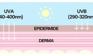 Raggi UVA e UVB penetrano nell'epidermide e nel derma, mostrando le diverse profondità di assorbimento.