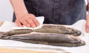 Zwei frisch gefangene Saiblinge werden auf Küchenpapier gelegt. Ein Mann trocknet einen der Fische ab.