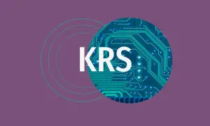 Jak czytać KRS: Kluczowe informacje, które musisz znać