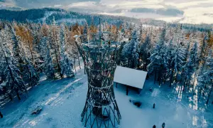 Wieża widokowa na borowej górze w zimowej scenerii. Śnieg pokrywa drzewa i ziemię, a ludzie spacerują wokół konstrukcji.
