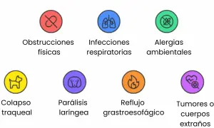 Iconos que ilustran causas de tos en perros: obstrucciones, infecciones, alergias, colapso traqueal, parálisis laríngea, reflujo y tumores.