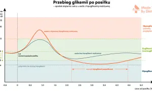 Wykres pokazuje przebieg glikemii po posiłku. Osoba z hipoglikemią reaktywną doświadcza spadku cukru, przekraczając próg 54 mg/dl.