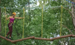 Park Linowy Szczytno: Planujesz wizytę? Sprawdź cennik i trasy!