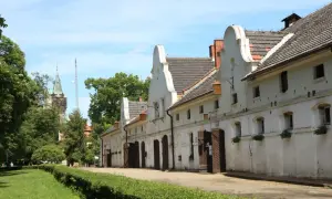 Stadnina koni Moszna – historia, atrakcje i wyjątkowe usługi