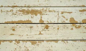 Wyblakłe, białe deski z widocznymi śladami wybielania drewna.