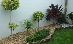 Jardines pequeños con árboles topiarios, plantas de hojas rojas y césped verde, delimitados por piedras y madera.