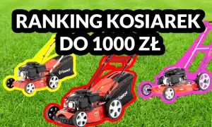 Kosiarka spalinowa do 1000 zł: Ranking i Poradnik Zakupowy