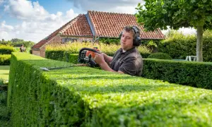 Mann mit Kopfhörern schneidet bei Hitze die Hecke mit einer Heckenschere.