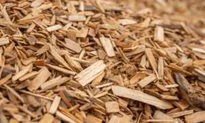 Holzhackschnitzel, ein Brennstoff für Hackschnitzelheizung, birgt Nachteile wie Lagerbedarf und Feuchtigkeitsempfindlichkeit.