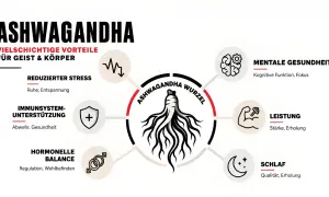 Ashwagandha-Wurzel: Stressreduktion, mentale Gesundheit, Leistung, Schlaf. Erfahren Sie, wie schnell wirkt Ashwagandha für Ihr Wohlbefinden.