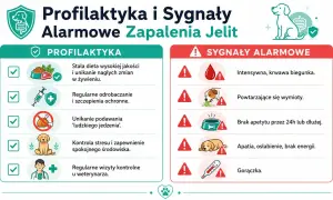 Profilaktyka i sygnały alarmowe zapalenia jelit u psa: krwawa biegunka, wymioty, brak apetytu, apatia, gorączka.