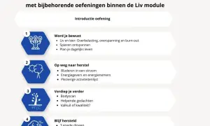 Stappenplan voor energie in balans: bewustwording, herstel, verdieping en behoud. Oefeningen voor overbelasting, overspanning en burn-out.