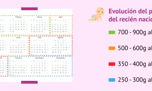 Calendario con meses y gráfico de evolución de peso de recién nacido.