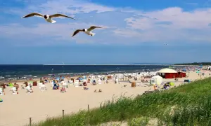 Słoneczna plaża pełna ludzi, leżaków i parawanów. Nad głowami szybują mewy, a w oddali widać morze, które kusi najcieplejszą wodą w Bałtyku.