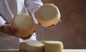 Ręce trzymają okrągłe, jasne sery. Na stole leżą kolejne krążki sera z Sardynii, gotowe do degustacji.